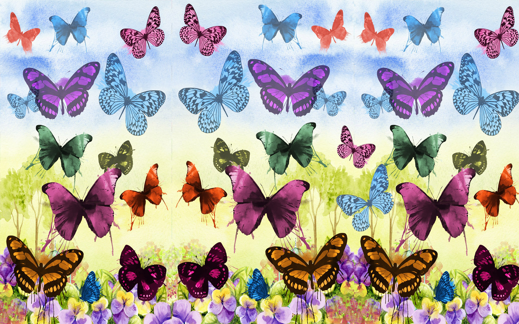 butterfly-flat-2.jpg