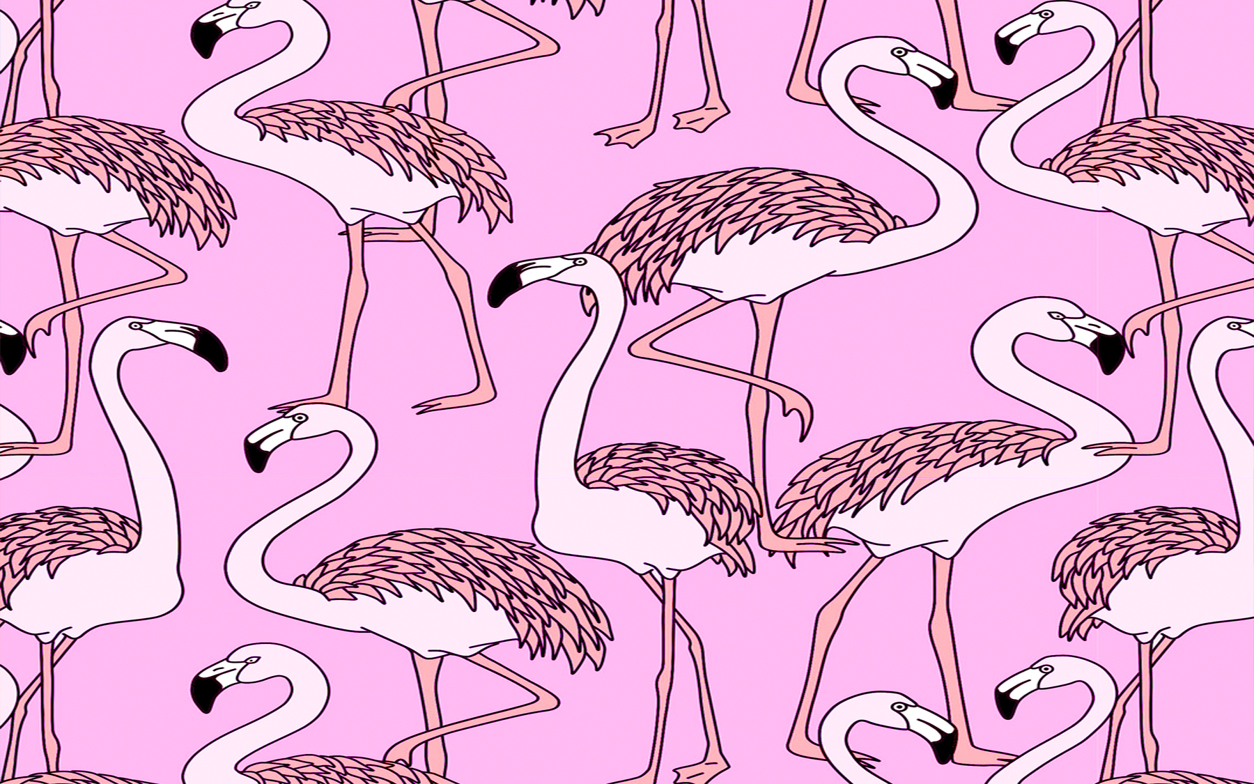 flamingo-flat-image.jpg